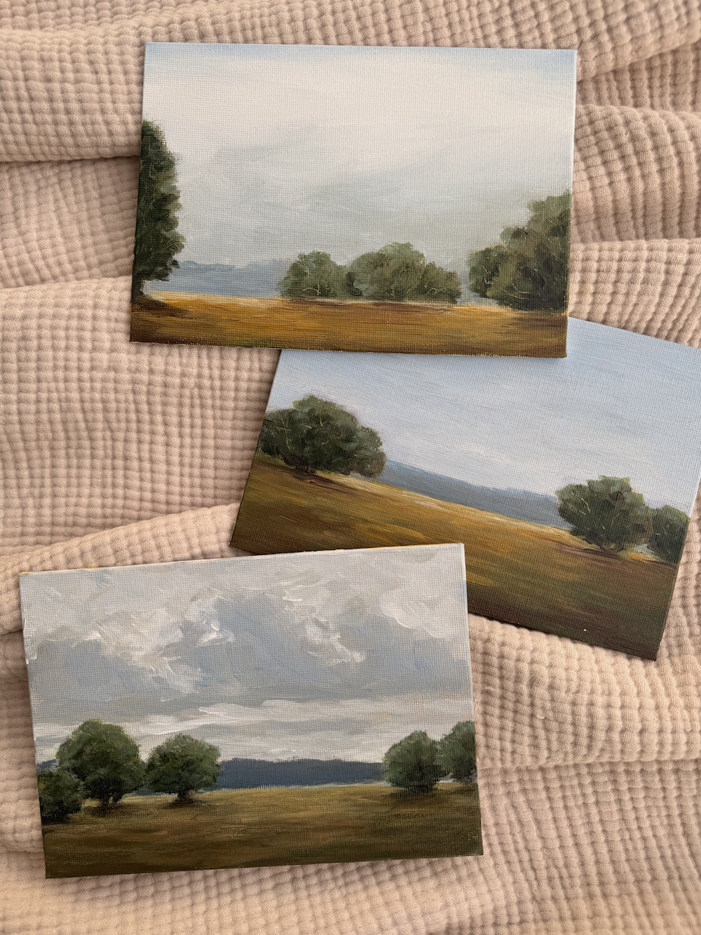 STORM OVER PASTURES