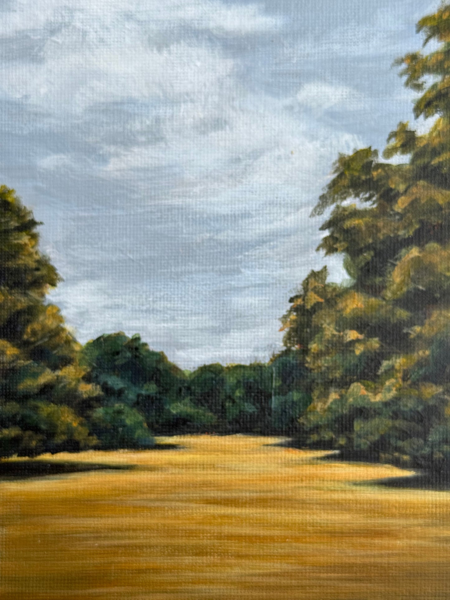 FOREST PATHWAY