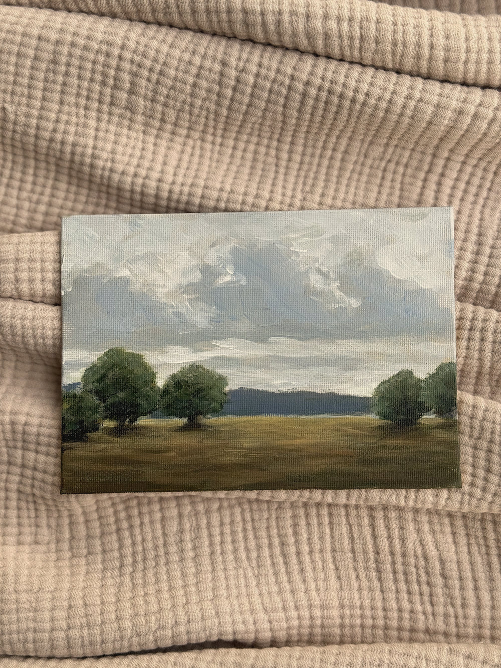 STORM OVER PASTURES
