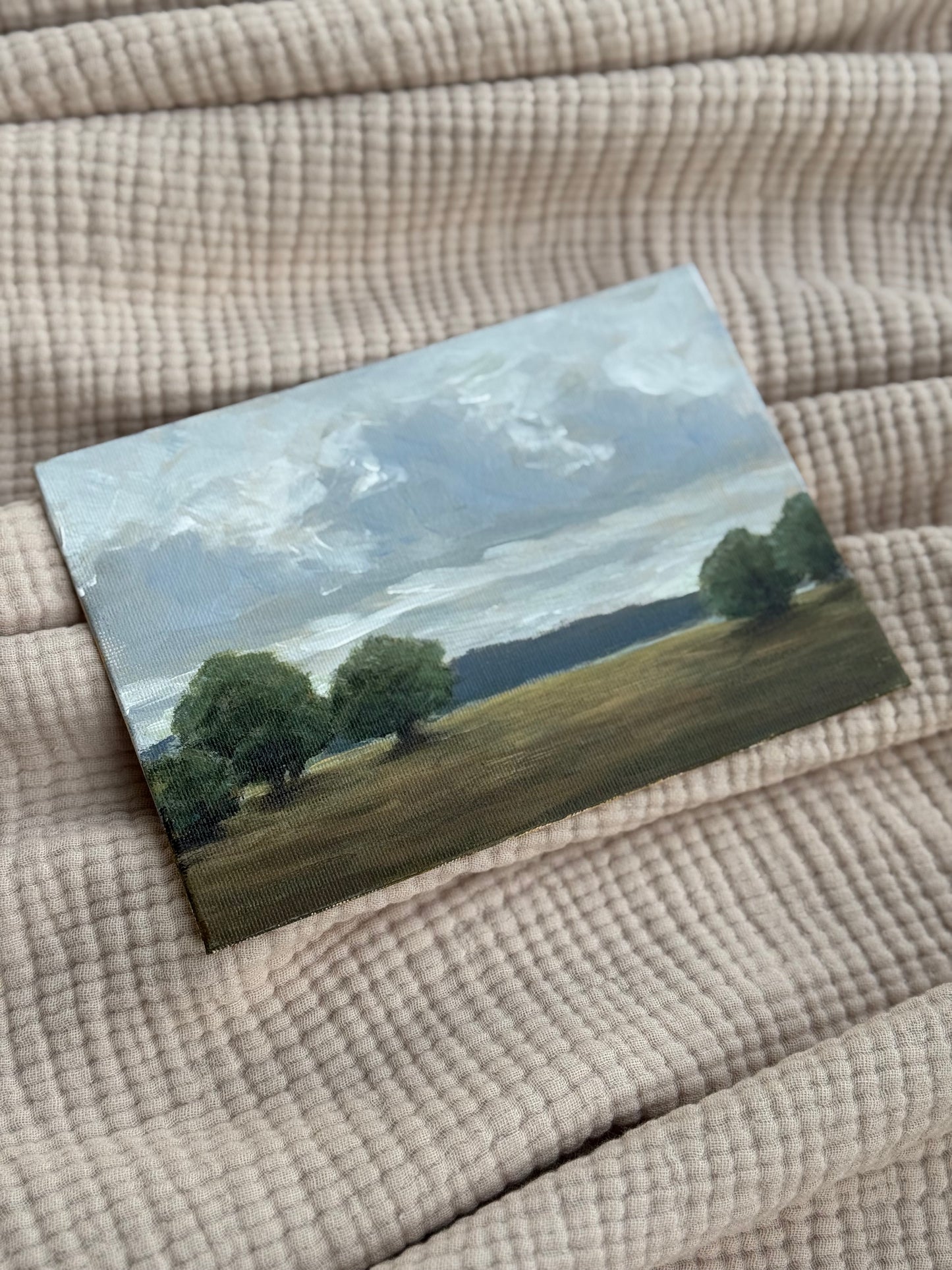 STORM OVER PASTURES