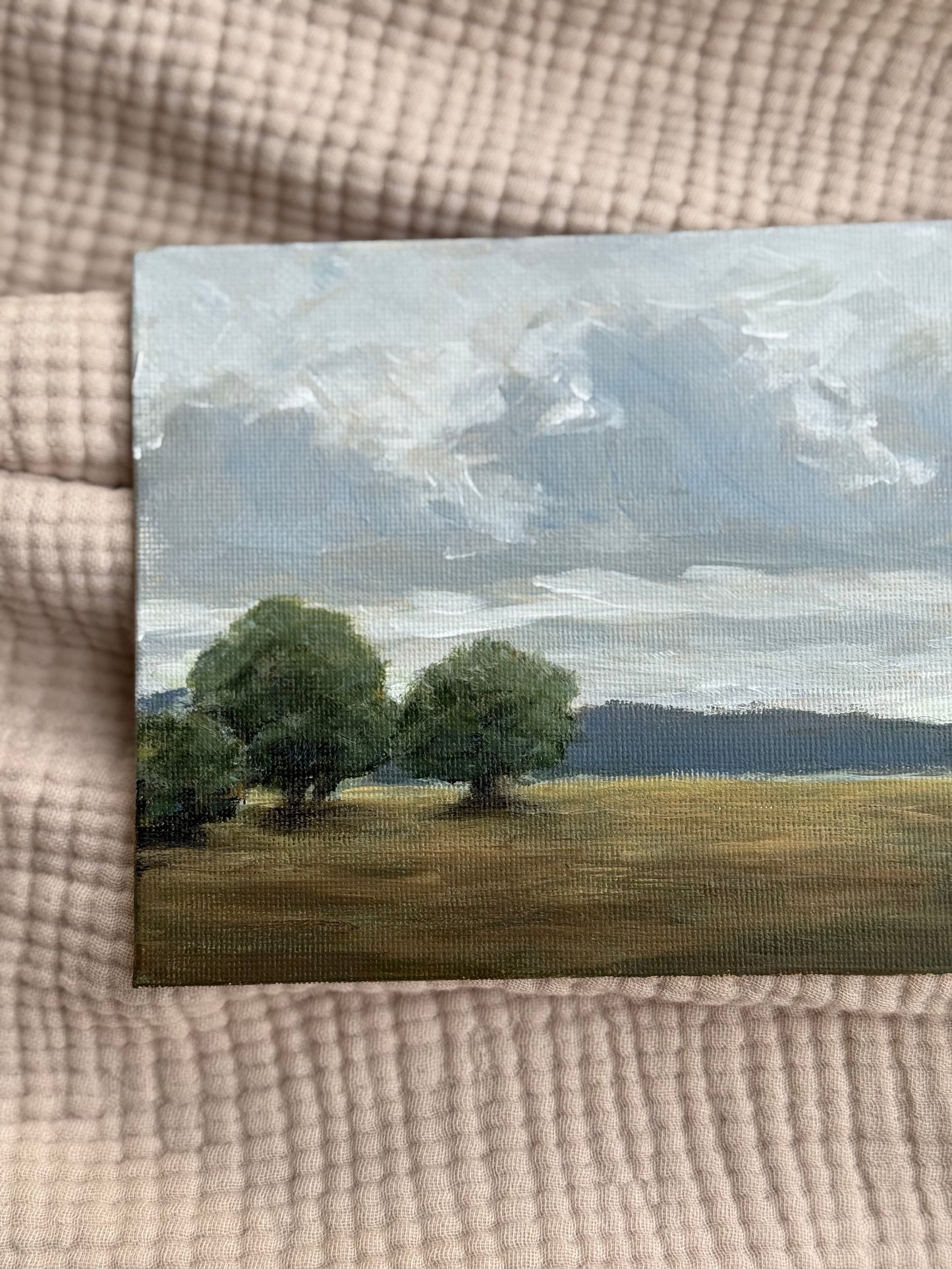 STORM OVER PASTURES