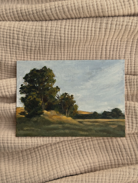 FOREST EDGE
