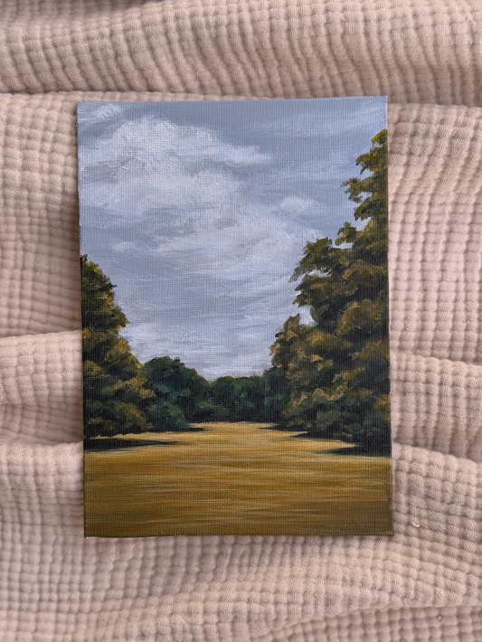 FOREST PATHWAY