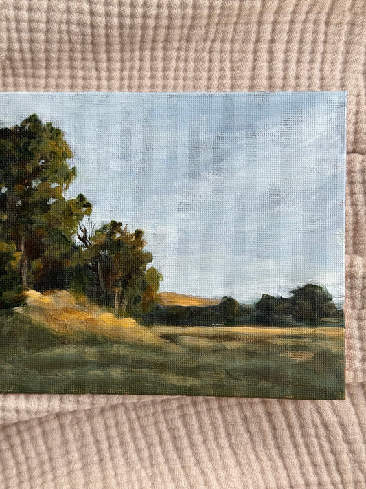 FOREST EDGE