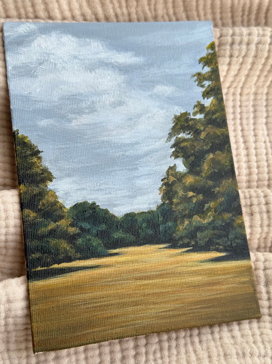 FOREST PATHWAY