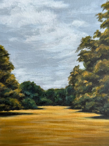 FOREST PATHWAY