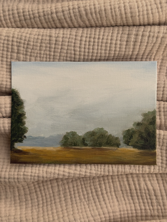 LOWLAND CALM