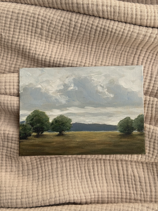 STORM OVER PASTURES