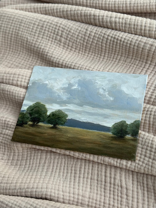 STORM OVER PASTURES